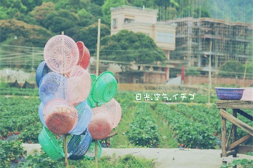 房产中介自媒体乱象：虚假信息泛滥，亟需整顿治理