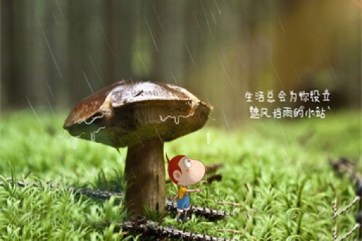 神19航天员圆满归来，安全顺利出舱的壮丽篇章