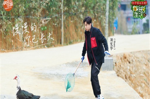 绊倒苹果的，不止是关税